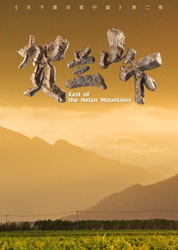 天下黄河富宁夏2贺兰山下